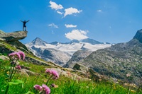 Lust auf wilde Bergabenteuer in der Wildkogel-Arena
