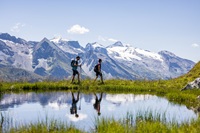 Tux-Finkenberg: Das Beste der Tiroler Alpen