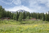 Raurisertal: Yoga in den Goldbergen