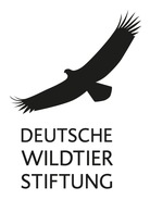 Neues Onlinetool für mehr Artenvielfalt: Deutsche Wildtier Stiftung gibt im digitalen Wildtiergarten Tipps zur naturnahen Gartengestaltung