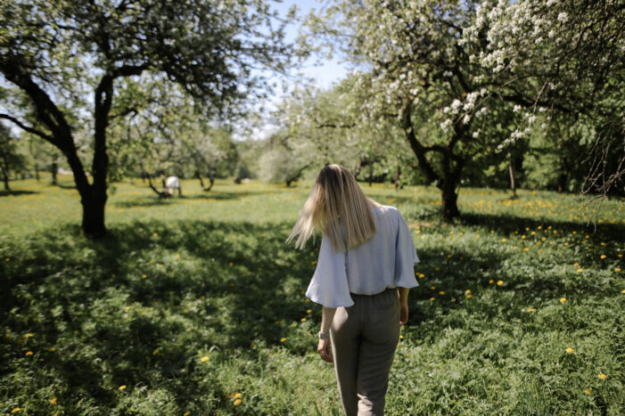 Erholsame Auszeiten: Heuboden Hotels Freiburg – Natur trifft auf Komfort