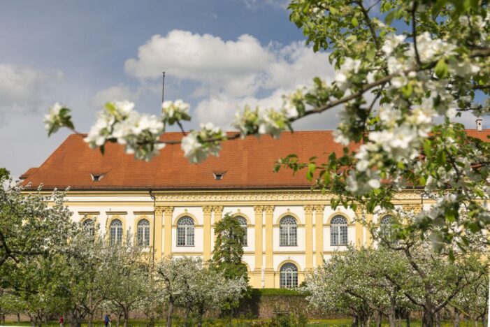 Die Apfelblüte im Hofgarten Schloss Dachau – Perfekt auch als Familienausflug