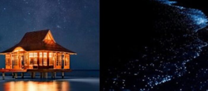 Noctourismus-Abenteuer im Nova Maldives Noctourismus-Abenteuer im Nova Maldives