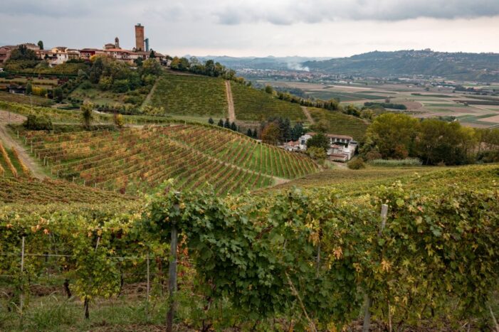 UNESCO-Landschaften im Piemonte: Wo Fässer rollen und Kunst im Weinberg steckt