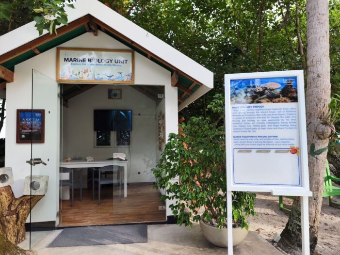 Ellaidhoo Maldives by Cinnamon präsentiert animierten Kurzfilm über Schildkröte „Tripod“