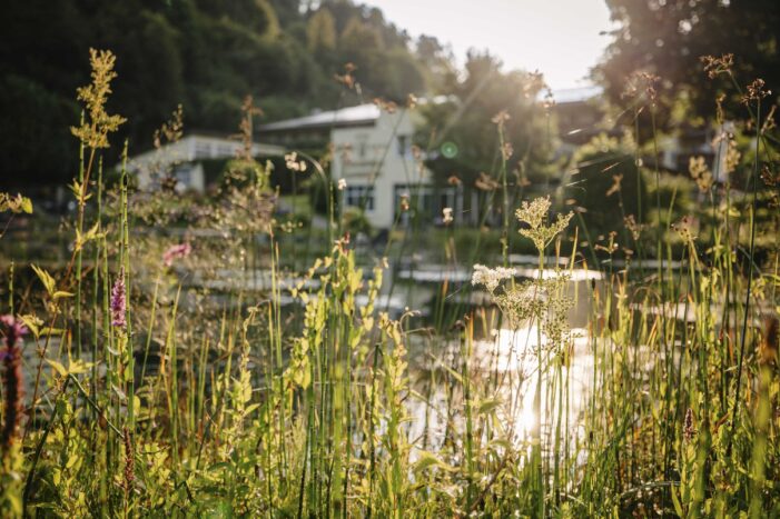 Ankommen. Loslassen. Aufblühen.
