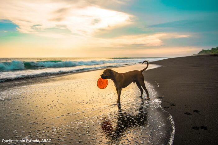 Mit tierisch viel Spaß in die Ferien