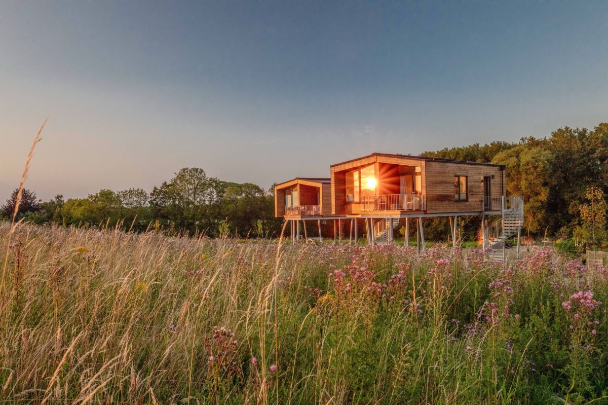 Deutschlands erstes Baumhaushotel an der Ostsee eröffnet – Rückzugsort mit Stil & Weitblick