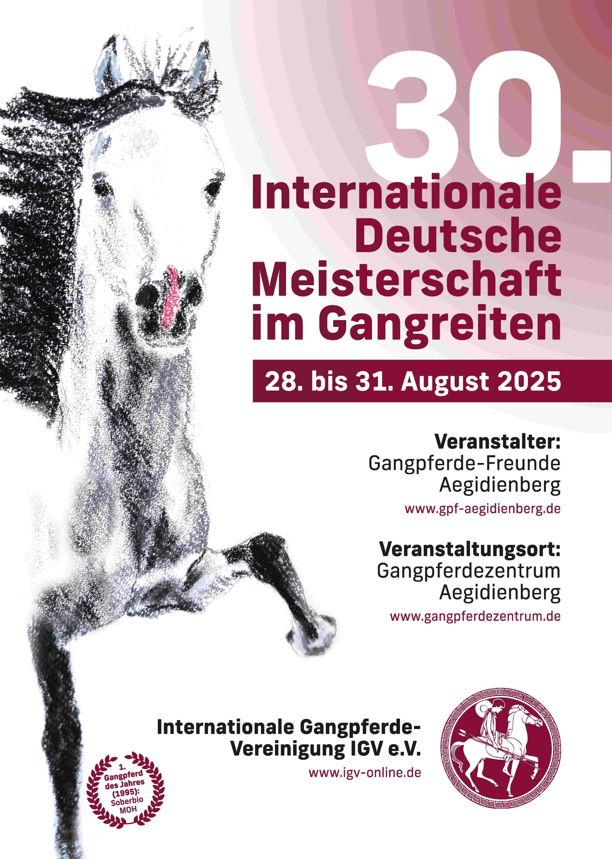 30 Jahre Gangpferdemagie 30 Jahre Gangpferdemagie