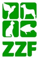 Zum Welt-Katzen-Tag am 8. August: Graupfoten – was Katzen-Senioren brauchen