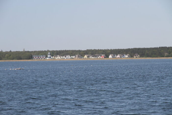 Idyllisches Ferienhaus auf dem Deich wartet