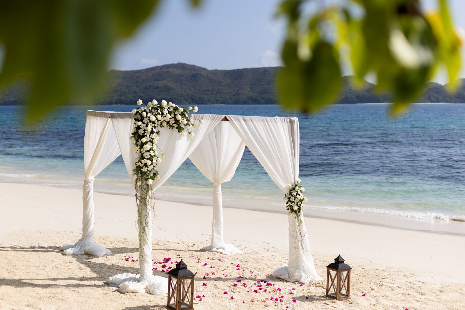 Love is in the air – and on the beach