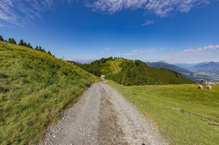 Der Sommer 2025 ist eher so lala, dafür wird der Herbst im Breisgau richtig schön