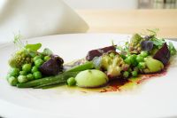 Basenfasten Hotels – Longevity und Detox im Einklang mit moderner Gesundheitsforschung