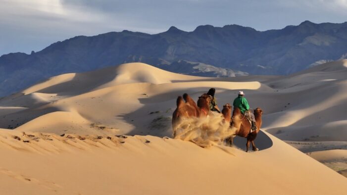 Der Anbieter Mongolia.com.co lockt mit Frühbucherpreisen