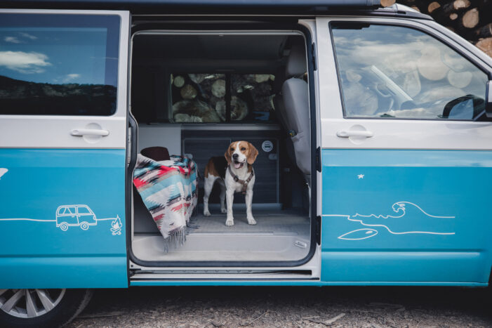 Camping-Rückblick 2025: Für 59 % ist Freiheit der wichtigste Grund für einen Campingurlaub