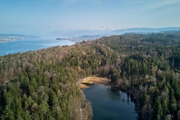Sebastian Vetter erkundet mit seinem Freund Dr. Thomas Vogel aus Zürich die versteckten Gärten der Goldküste