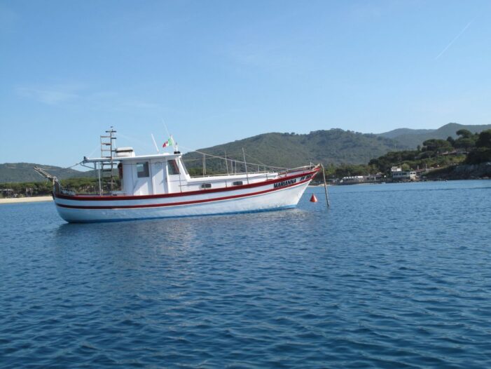 Insel Elba Tauchen, Exlusiver Tauchgang mit Spiro Sub Diving auf Elba, Italien