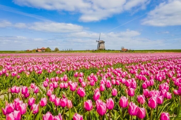 Moderner Standort: Nordholland Nord präsentiert sich auf der Grünen Woche