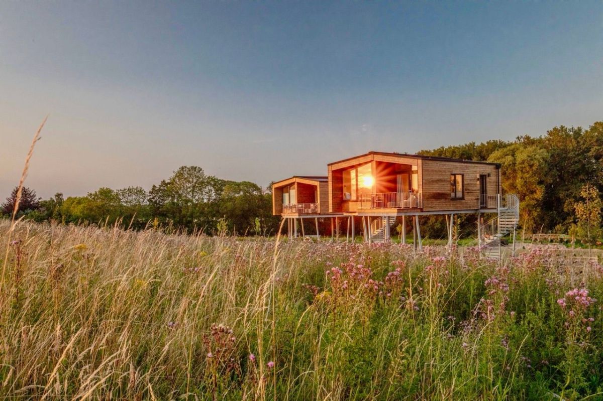 Warum Rückzug zu einem zentralen Reisebedürfnis geworden ist – und welche Rolle Baumhaushotels dabei spielen