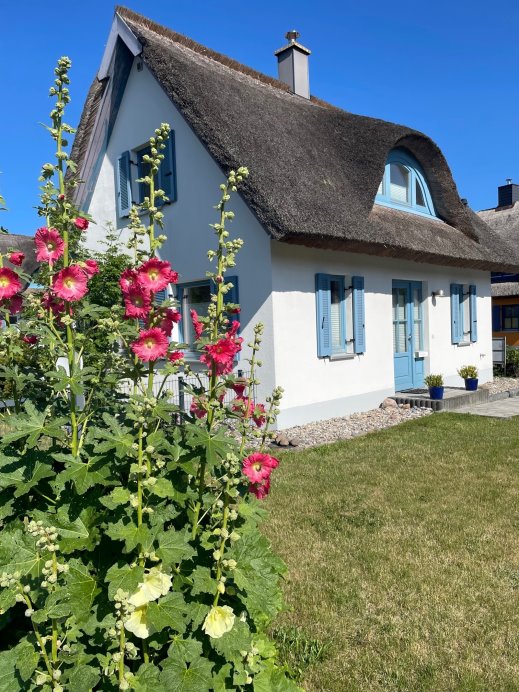 Reethaus direkt am Meer Störtebeker Urlaub mit Hunden