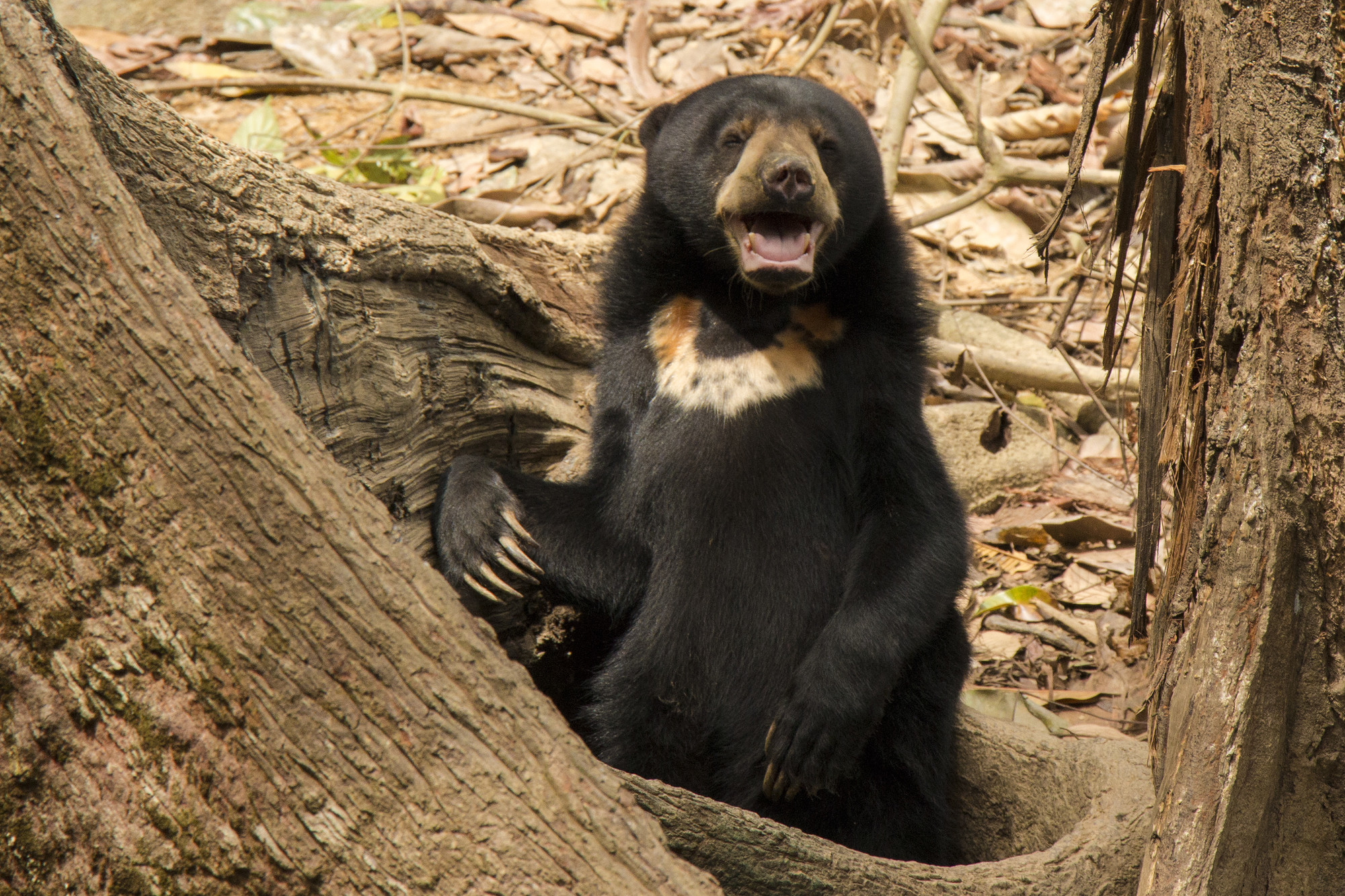 Markteinführung: Sabah schärft Markenidentität mit Fokus auf werteorientierten Tourismus