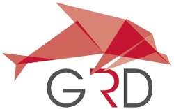 Sichten statt stören: So können Urlaubsgäste zum Schutz der Adria-Delfine beitragen