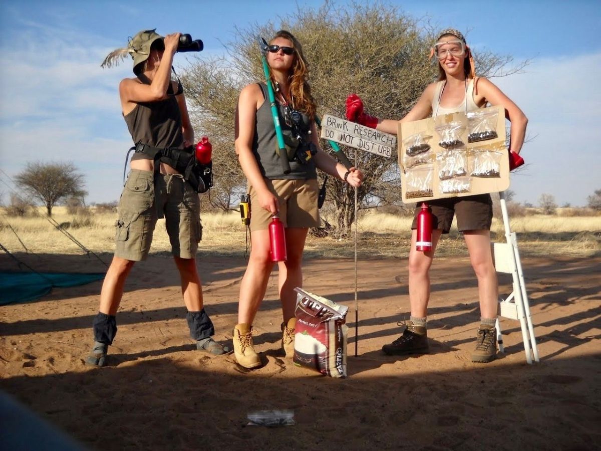 Gap Year im Wandel: Geopolitische Krisen verändern Auslandsaufenthalte