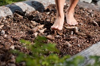 Frühsommer mit Tiefenwirkung: Waldwellness und Naturkraft auf 1.500 Metern