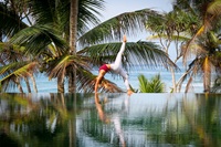 Underneath the Mango Tree – Ayurveda & Detox: Im Sommer nach Sri Lanka