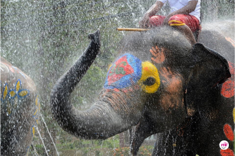 Songkran 2026: Thailand feiert aktuell sein Wasserfest