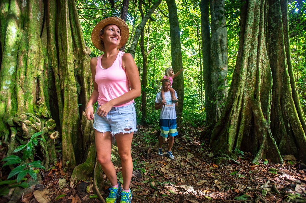 Die wahre Südsee entdecken