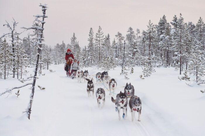 Silvester in Lappland: Huskys, Nordlichter und Silvesterzauber