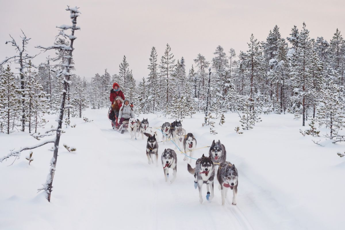 Silvester in Lappland: Huskys, Nordlichter und Silvesterzauber