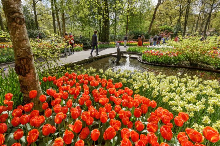 Koningsdag in Zandvoort: Badeort lockt mit geselligen Oranje-Festivitäten