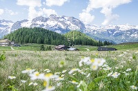 Berchtesgaden: Sommer in einer der eindrucksvollsten Naturlandschaften Bayerns