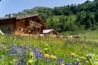 Faszinierender Tauernsommer mit Rangern im Raurisertal Faszinierender Tauernsommer mit Rangern im Raurisertal