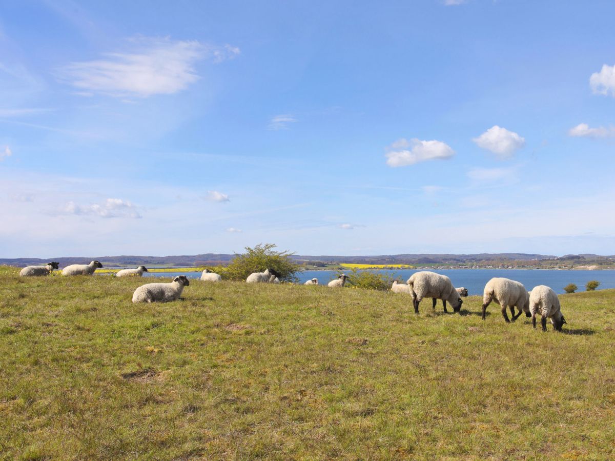 Das Biosphärenreservat Südost-Rügen – ein Urlaubsparadies schützen und erleben. Das Biosphärenreservat Südost-Rügen – ein Urlaubsparadies schützen und erleben.