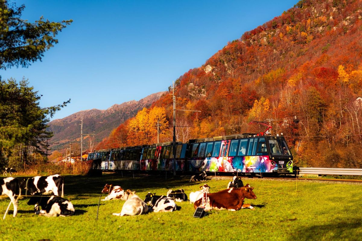 Mit dem „Treno del Foliage“ durch das Hinterland des Lago Maggiore
