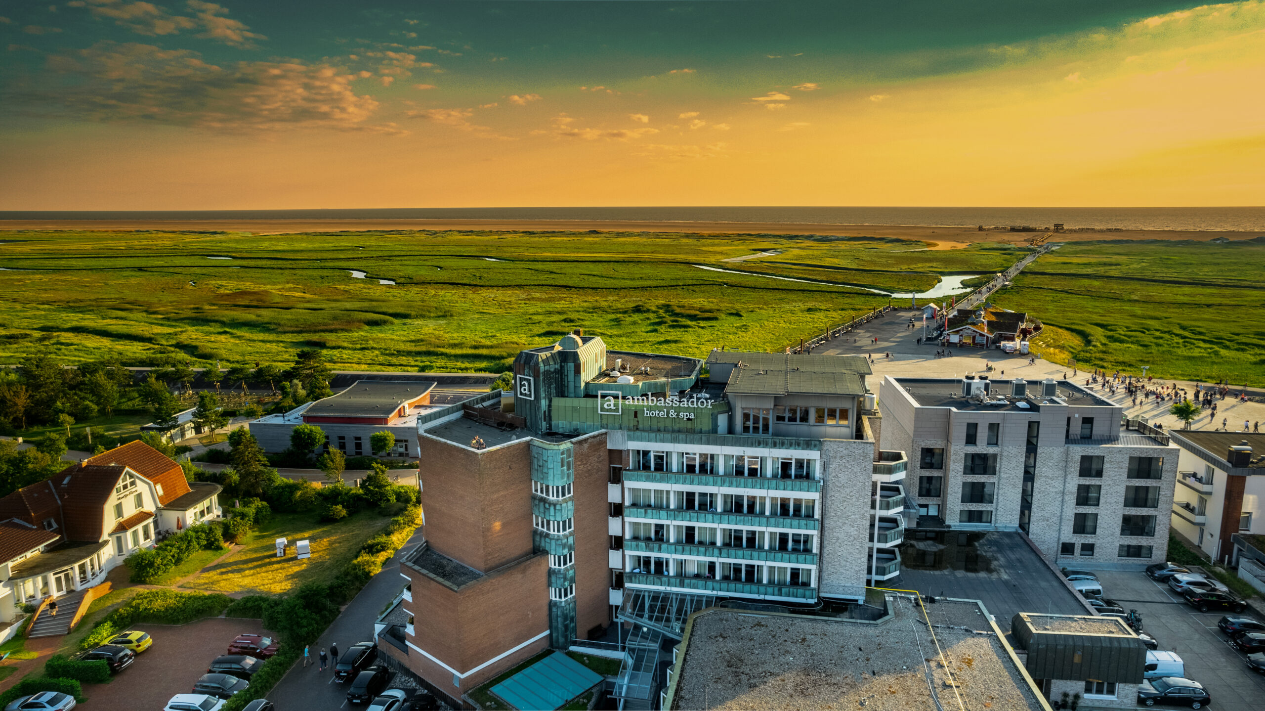 „Watt-Safari“ an der Nordsee – die Big Five im Wattenmeer beobachten